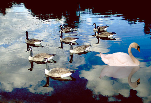 Diseño de Photoshop por ManFromSun para DesignCrowd (Community Contests) | Diseño #9069734