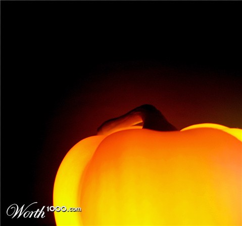 Photography by theduffman