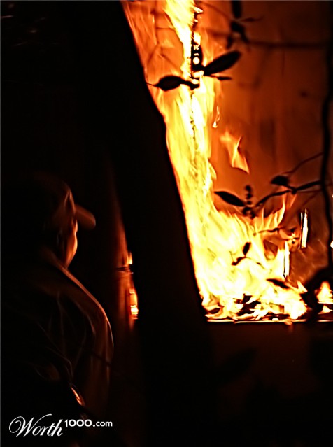 Photography by chris_