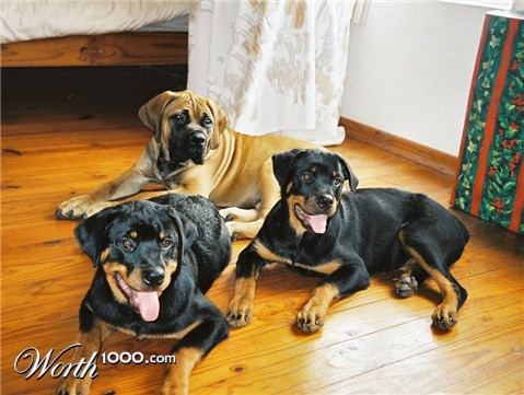 Photography by Juicer