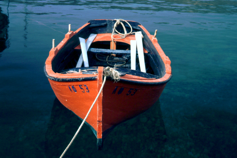 Fotografía por Bastet para DesignCrowd (Community Contests) | Diseño #9069606