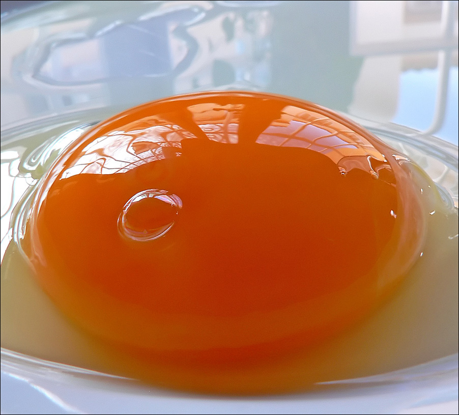 Photographie par jandreu pour DesignCrowd (Community Contests) | Design #9069608