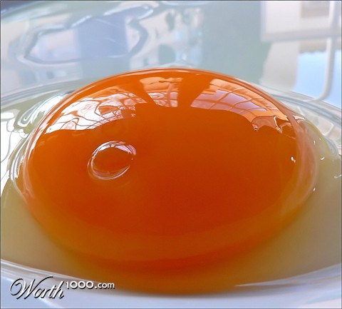 Photography by jandreu