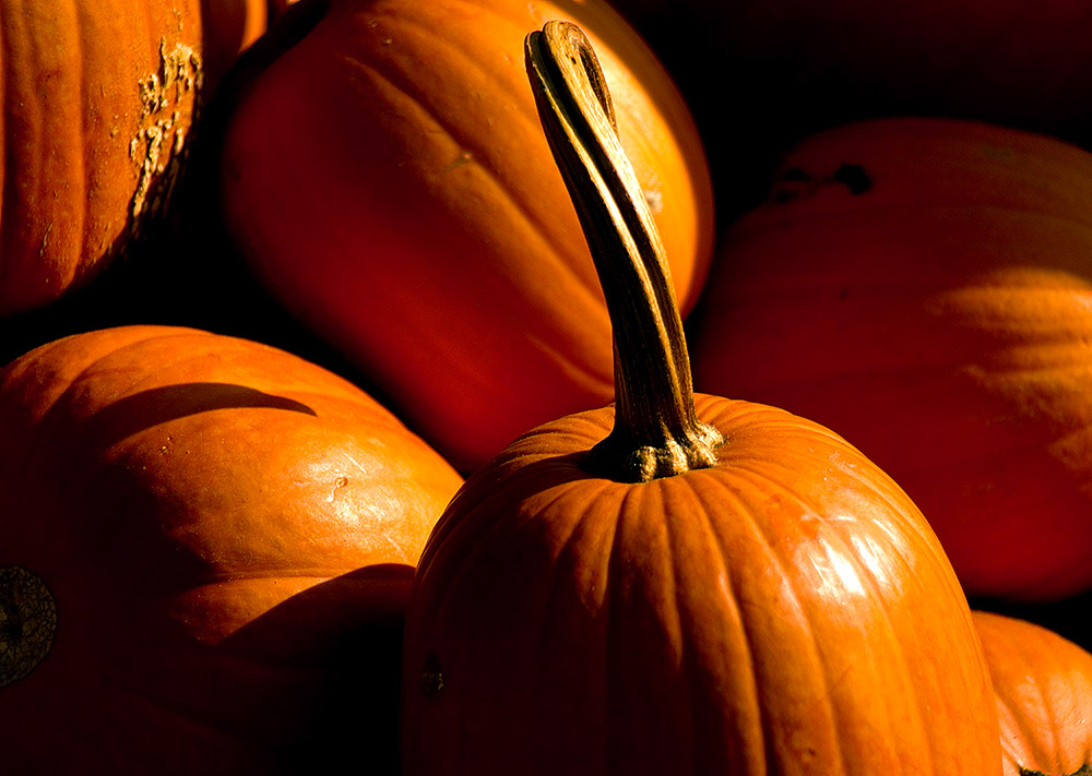 Fotografie von josephzl für DesignCrowd (Community Contests) | Design #9069590