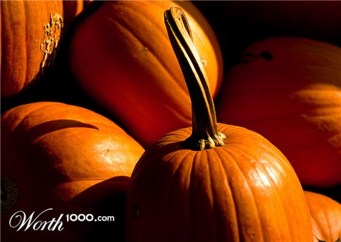 Photography by josephzl