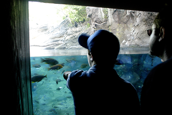 Fotografía por spawnofbill para DesignCrowd (Community Contests) | Diseño #9067306