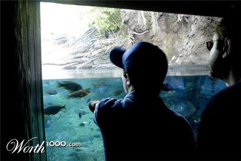 Photography by spawnofbill