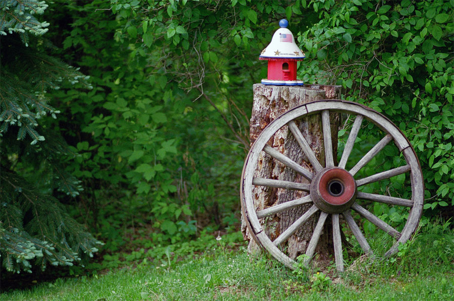 Photography by xb70valkyrie for DesignCrowd (Community Contests) | Design #9072016