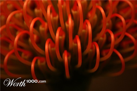 Photography by kimbomac