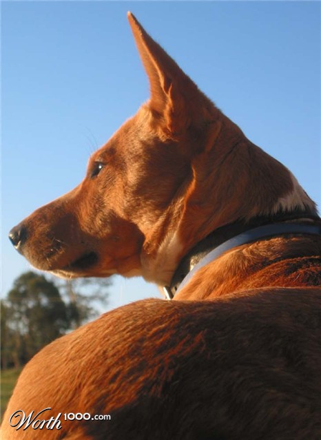 Photography by Budmulla