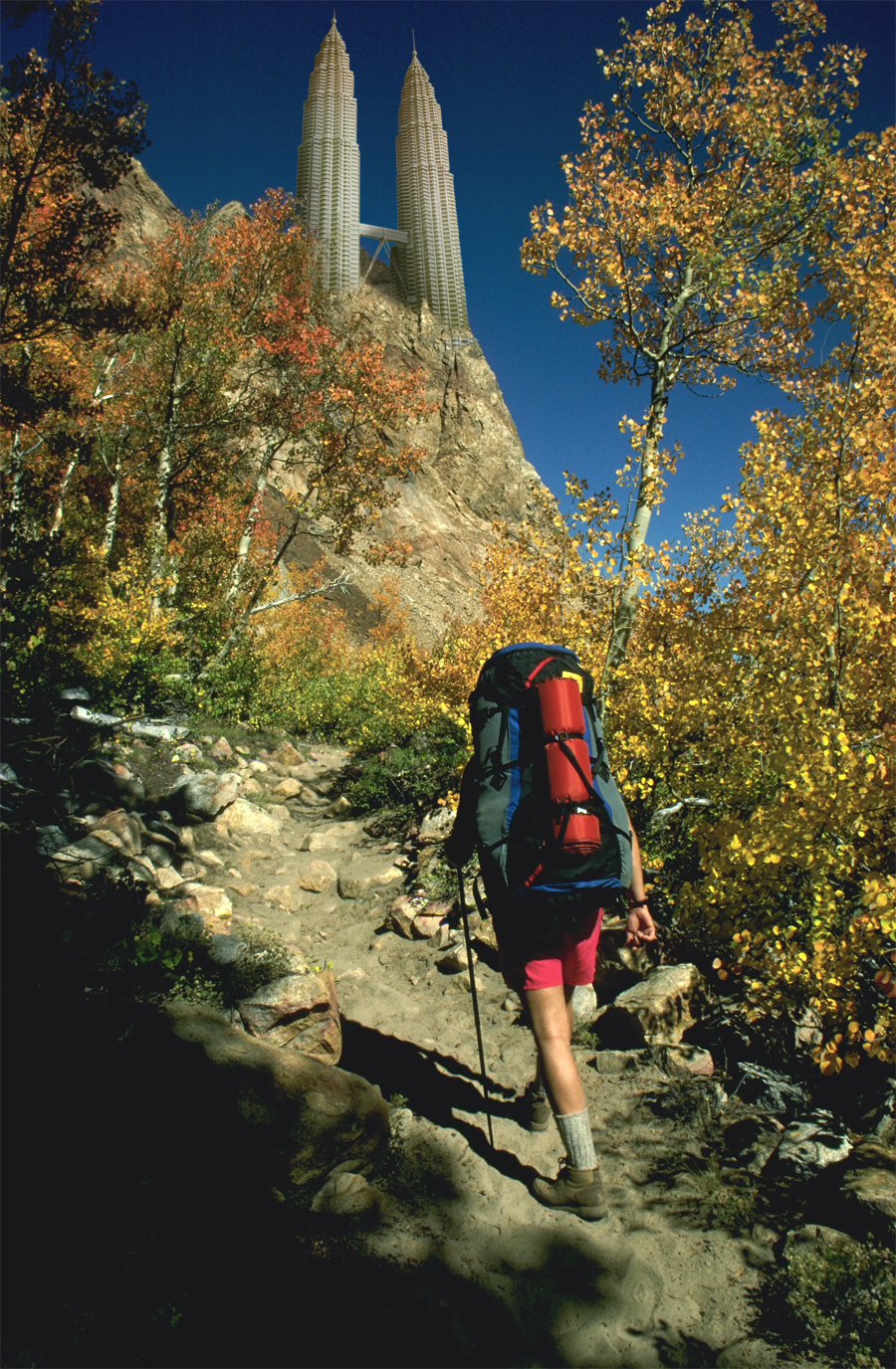 Photoshop Design by FlyingFox for DesignCrowd (Community Contests) | Design #9068346