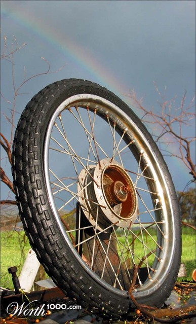 Photography by Budmulla