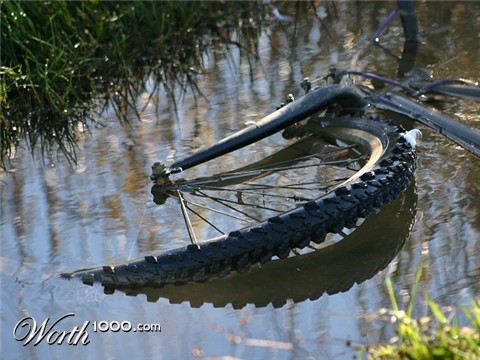 Photography by KarenC