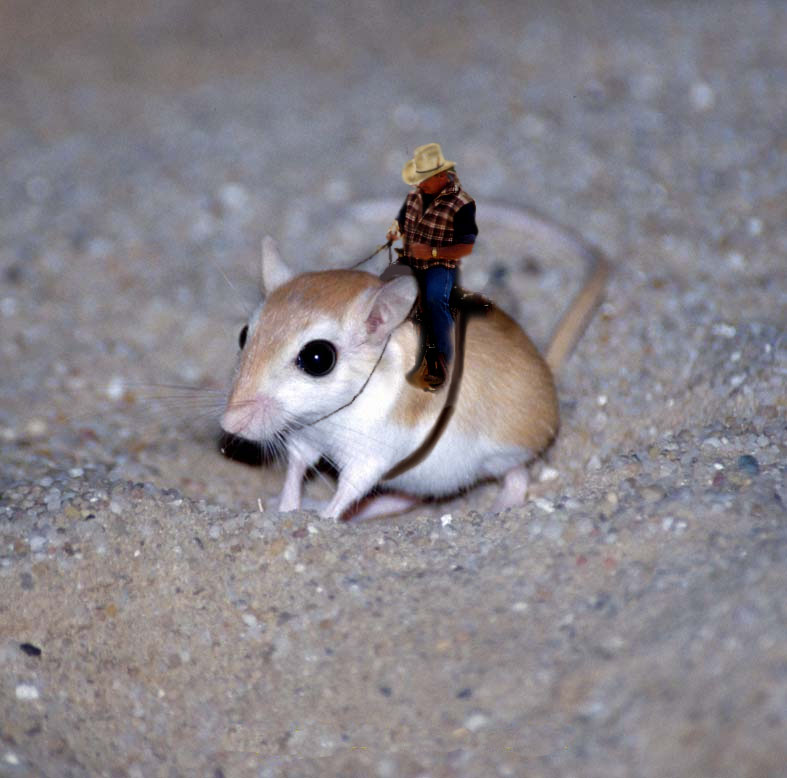 Design Photoshop par my79spirit pour DesignCrowd (Community Contests) | Design #9065020