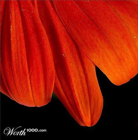 Photography by Ronbrandt