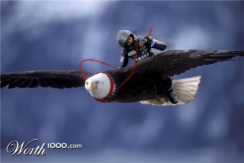 Photoshop Design by imagineer99