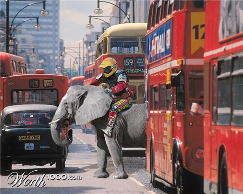 Photoshop Design by majkus