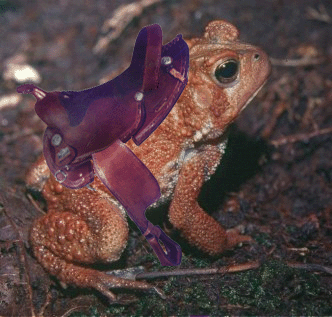 Photoshop Design by HODZenobia for DesignCrowd (Community Contests) | Design #9065144