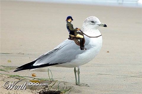 Photoshop Design by santaclaws