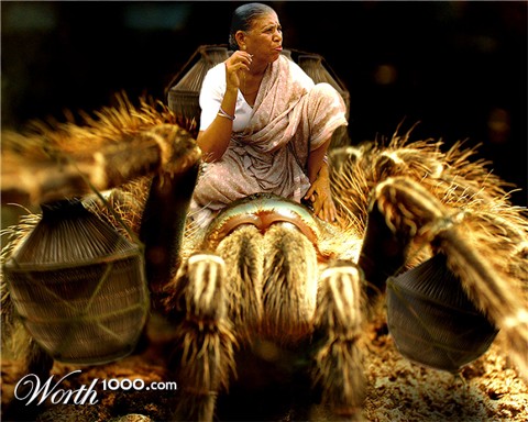 Photoshop Design by Deschain420