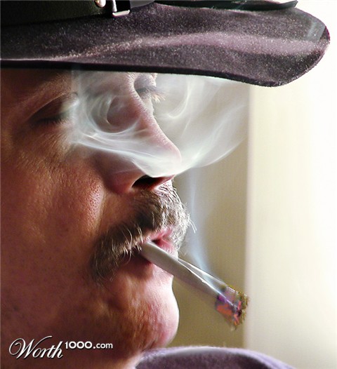 Photography by cakeladybarb