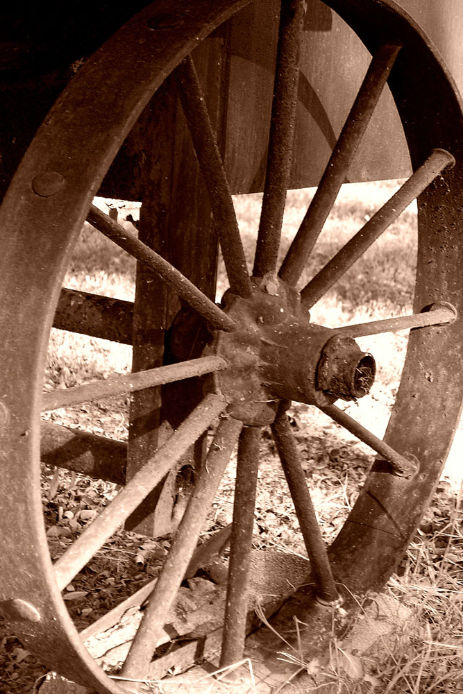 Photography by tigercrosse for DesignCrowd (Community Contests) | Design #9072164