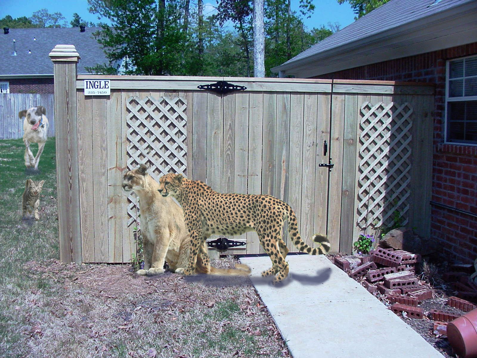 Design Photoshop par my79spirit pour DesignCrowd (Community Contests) | Design #9067951