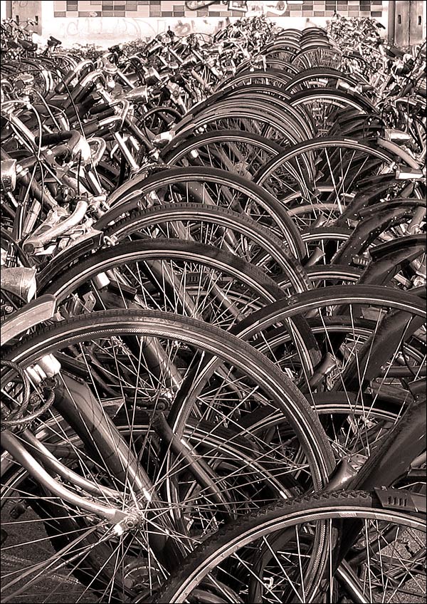 Photography by wiebeiw for DesignCrowd (Community Contests) | Design #9072097