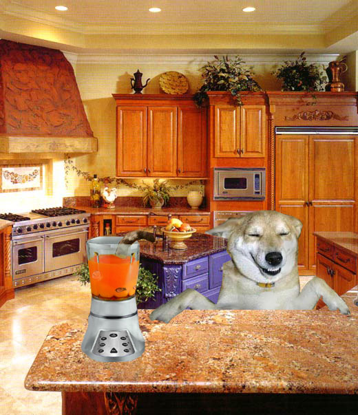 Photoshop Design by funky123 for DesignCrowd (Community Contests) | Design #9067956