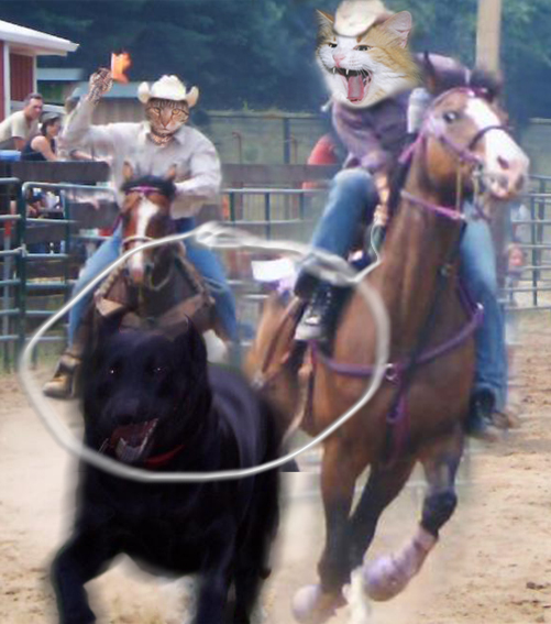 Photoshop Design by majkus for DesignCrowd (Community Contests) | Design #9067969