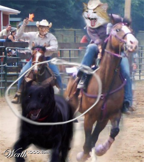 Photoshop Design by majkus