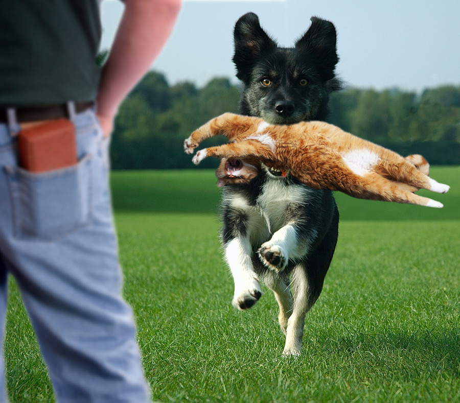 Photoshop Design by theone2Punch for DesignCrowd (Community Contests) | Design #9067963