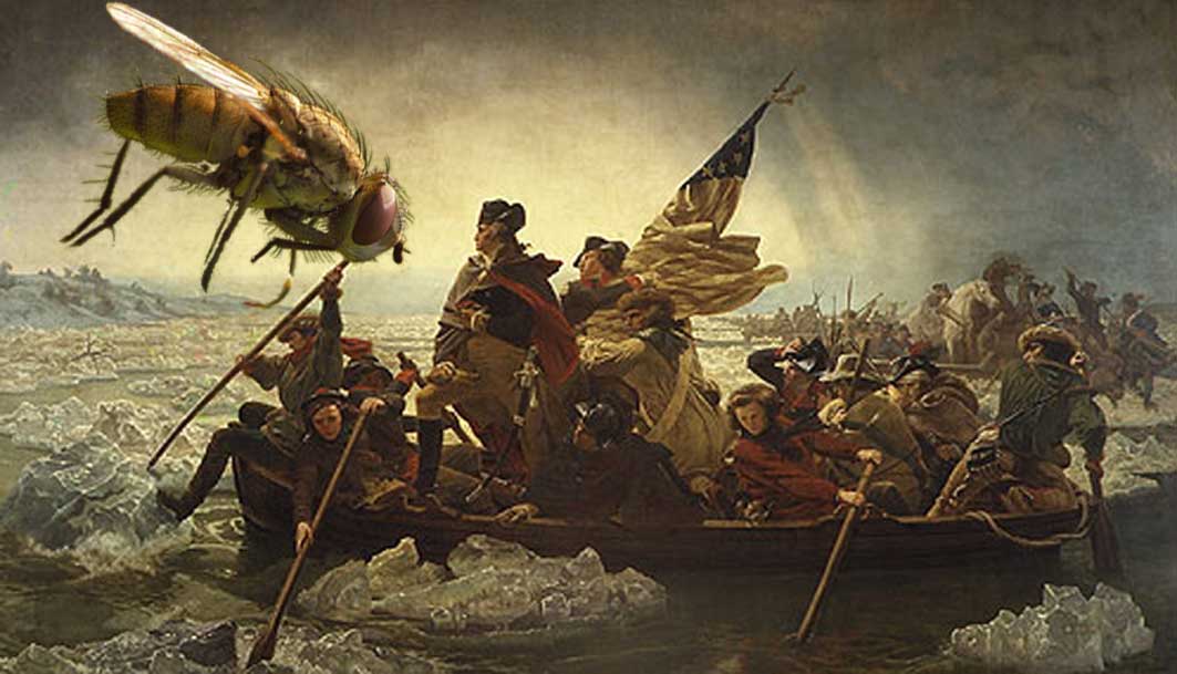 Design Photoshop par WizFromOz pour DesignCrowd (Community Contests) | Design #9077517