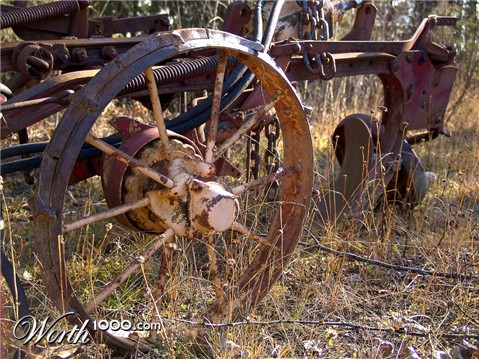 Photography by whlutz