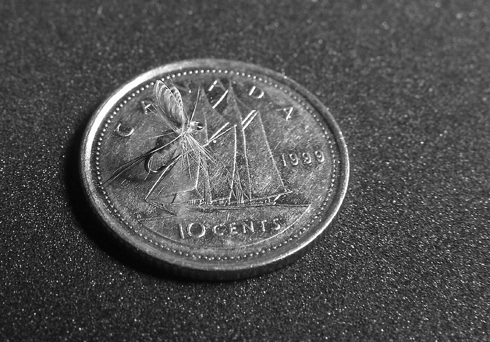 Photographie par whlutz pour DesignCrowd (Community Contests) | Design #9066563