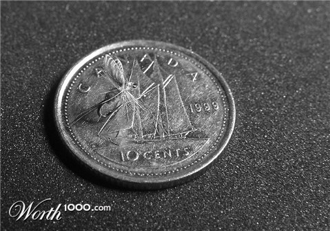 Photography by whlutz