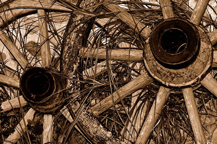 Photography by attacker for DesignCrowd (Community Contests) | Design #9072168