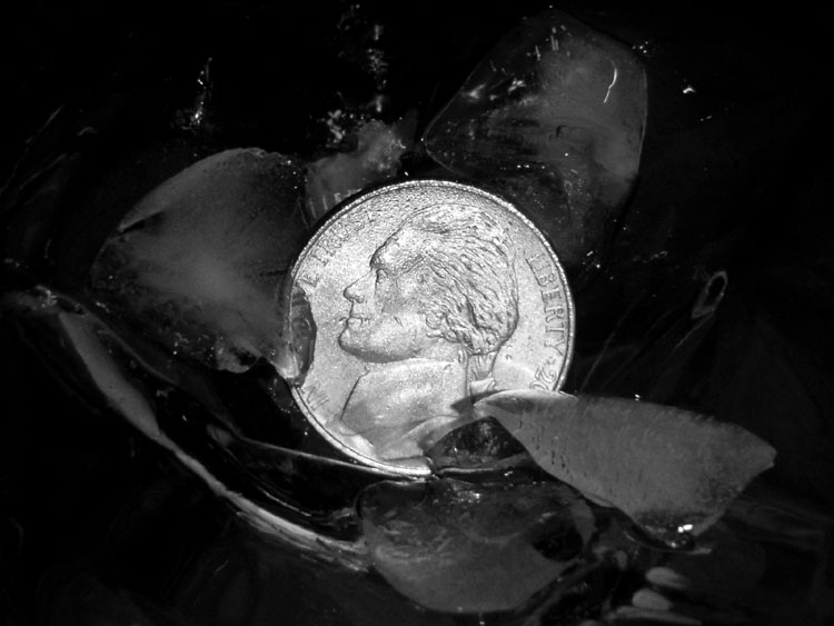 Photographie par darkxnine pour DesignCrowd (Community Contests) | Design #9066561