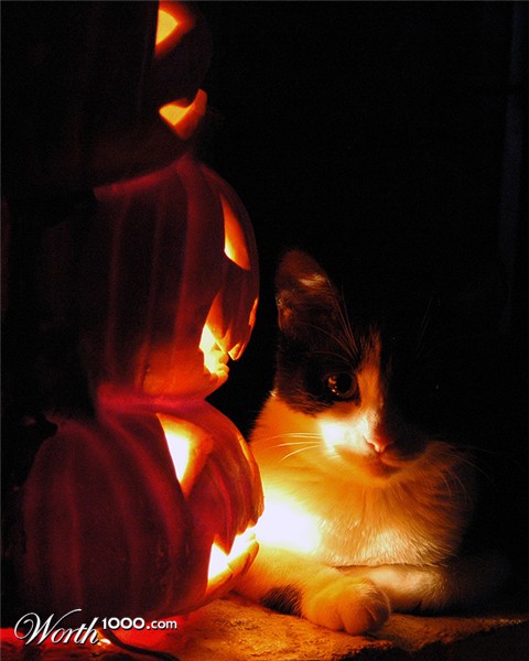 Photography by darwin