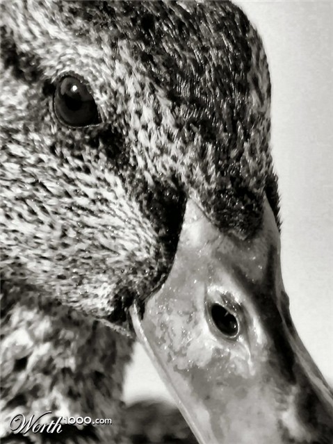 Photography by Juicer