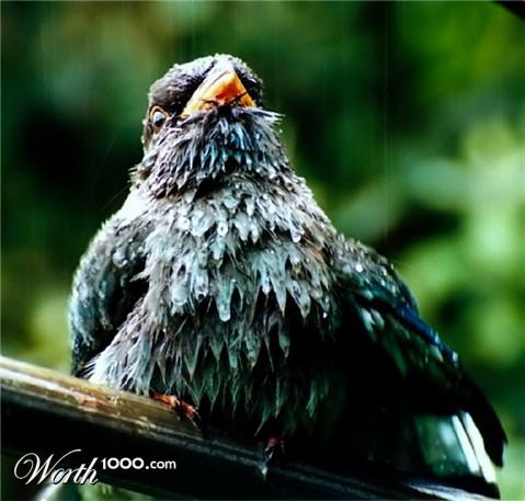 Photography by Isabella2006