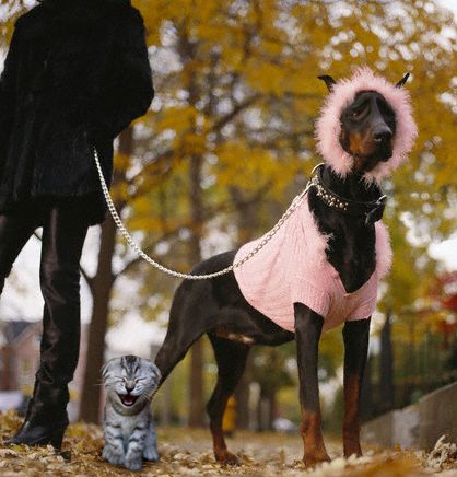 Photoshop Design by TIOCHICO for DesignCrowd (Community Contests) | Design #9068011