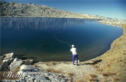 Photoshop Design by FlyingFox