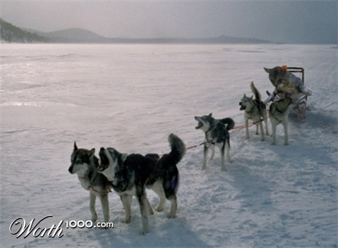 Photoshop Design by xyzbk1