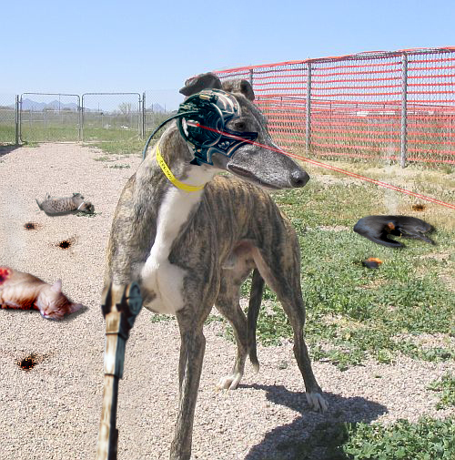 Photoshop-Design von Fareel für DesignCrowd (Community Contests) | Design #9068140