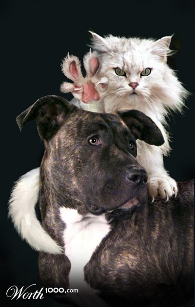 Photoshop Design by beeshamommy