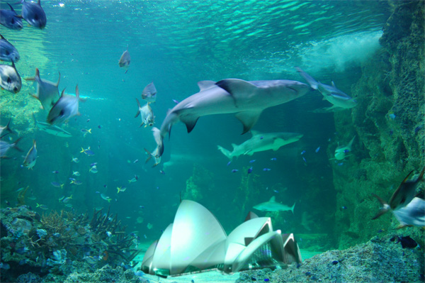 Design Photoshop par ffourie pour DesignCrowd (Community Contests) | Design #9066579