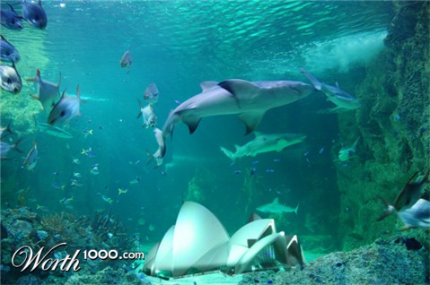 Photoshop Design by ffourie