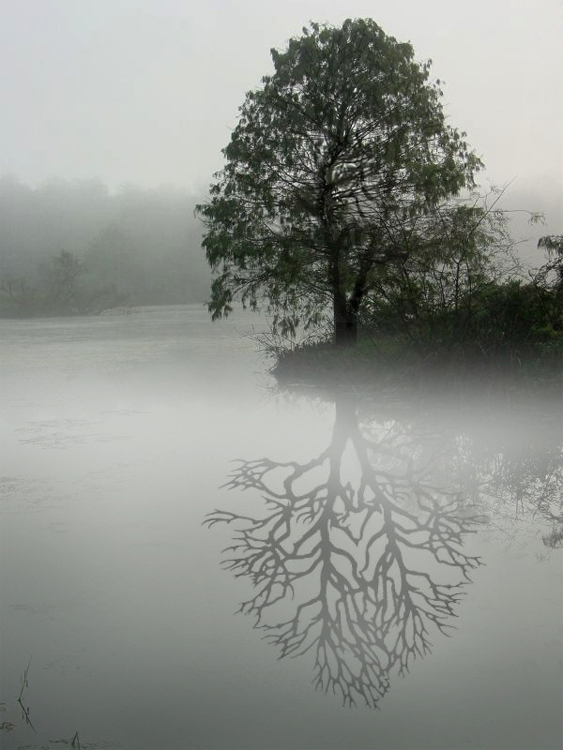 Photoshop Design by Ziaphra for DesignCrowd (Community Contests) | Design #9067629