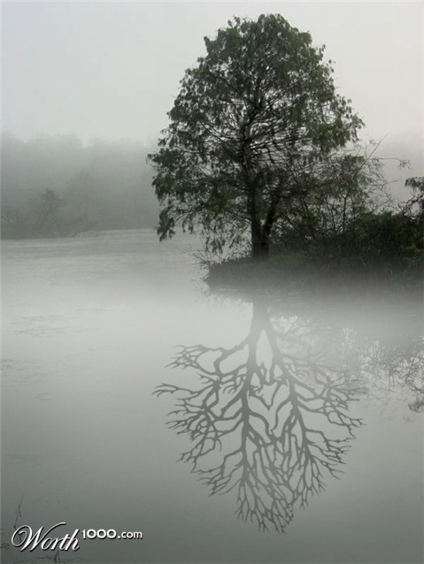 Photoshop Design by Ziaphra